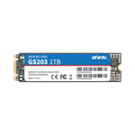 M.2 SATA SSD（图1）